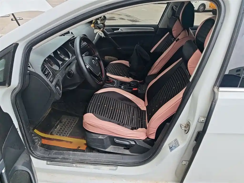 Volkswagen Golf 2019 200TSI DSG Comfort Progressive China VI фото 8