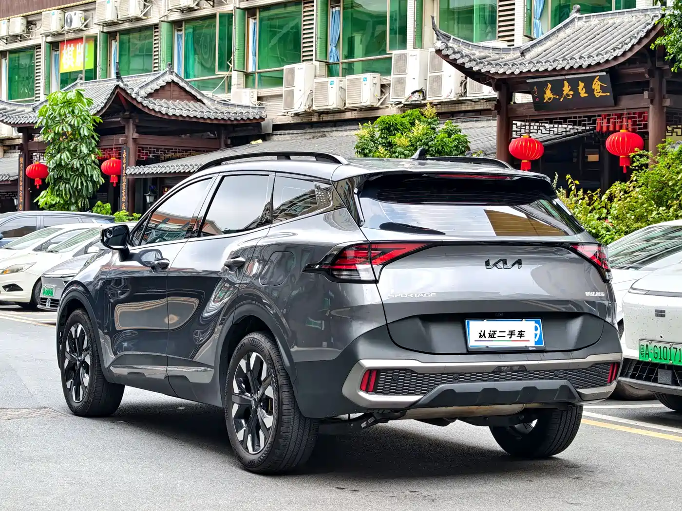 KIA LION PLATINUM EXPANDS THE WORLD