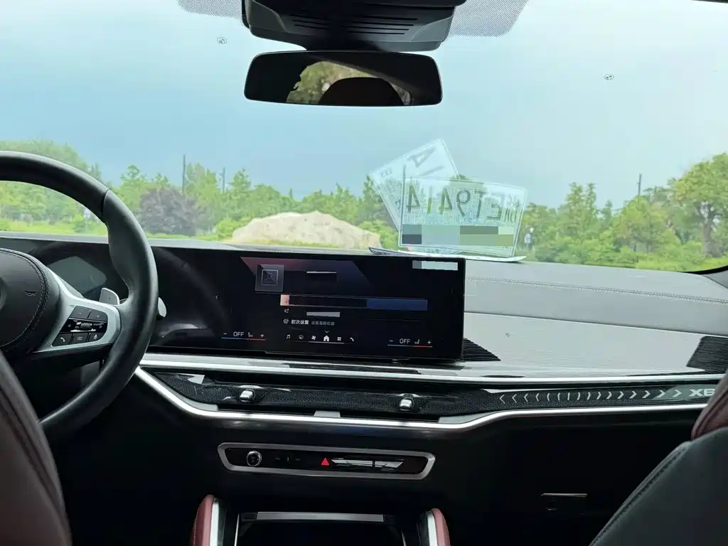 Photo 11 - BMW X6