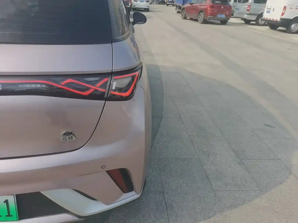BYD Dolphin 2022 2021 Model 405km Fashion Edition