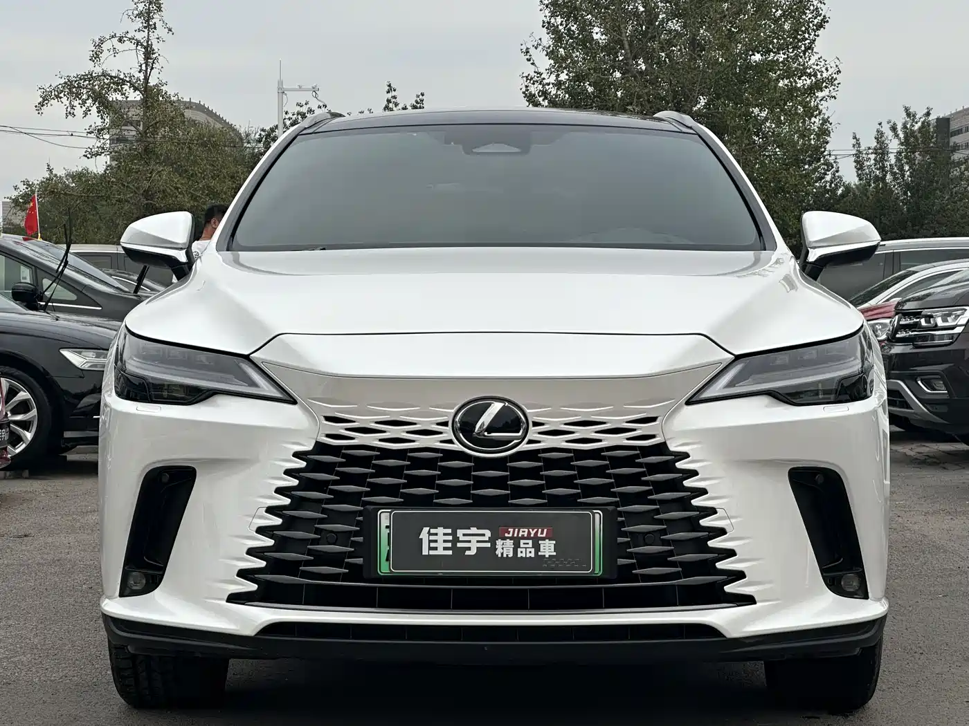 Lexus RX New Energy 2023 450h+ 4WD Enjoyment фото 2