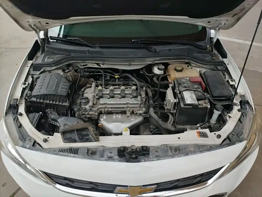 Chevrolet Cavalier 2018 320 Auto Enjoy Sunroof Edition фото 20