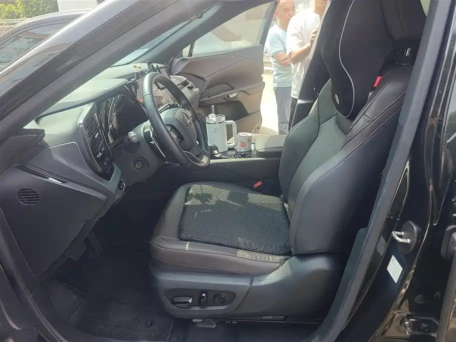 Lexus RX New Energy 2023 450h+ 4WD Enjoyment фото 9