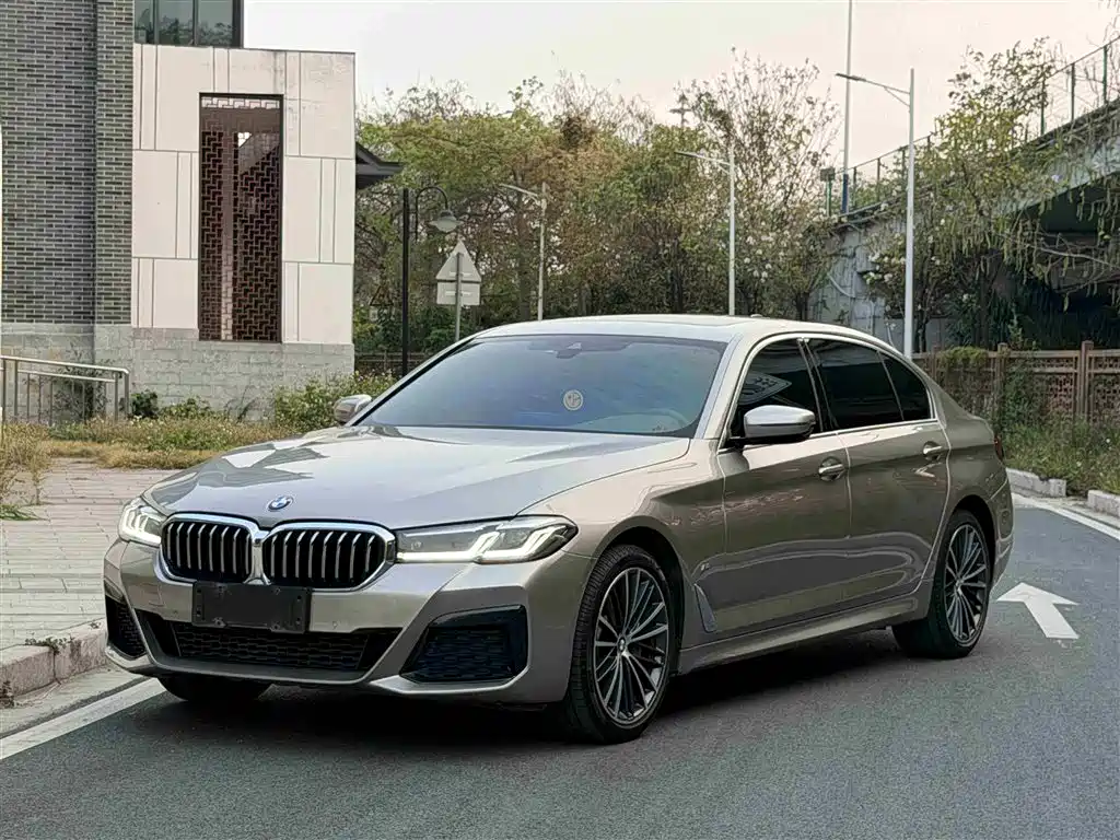 BMW 5 SERIES