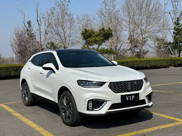 wei-pai wei-brand-vv5