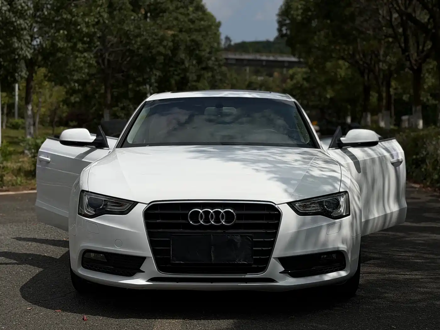 Audi A5 (Import) 2013 2013 Sportback 40 TFSI