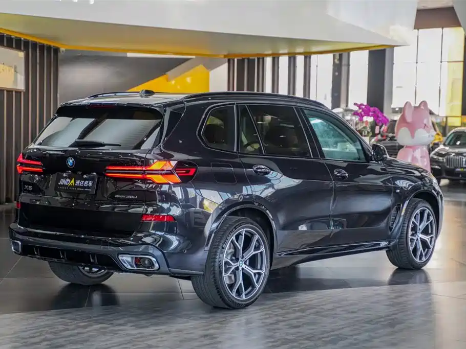 BMW X5 2023 xDrive 30Li Premium M Sport Black Night Package фото 19