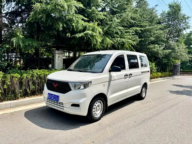  Wuling Motors Wuling Hongguang V 2019 1.5L Basic China VI LAR