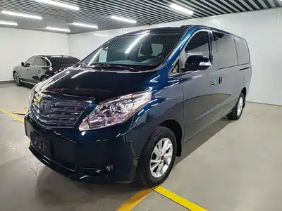 Forthing Lingzhi PLUS