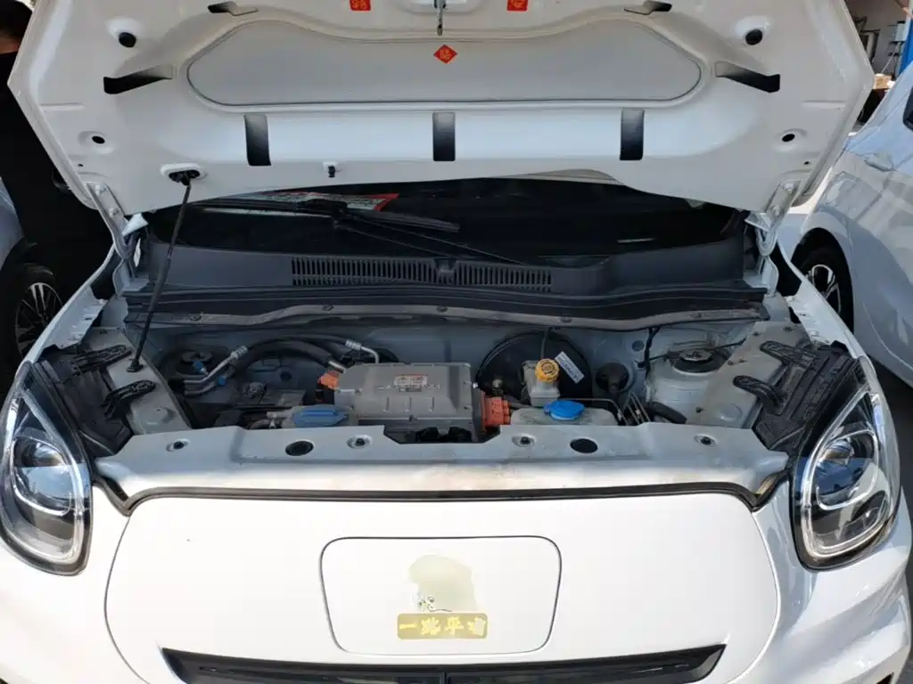 Leapmotor T03 2021 2021 400 Ride-hailing Edition
