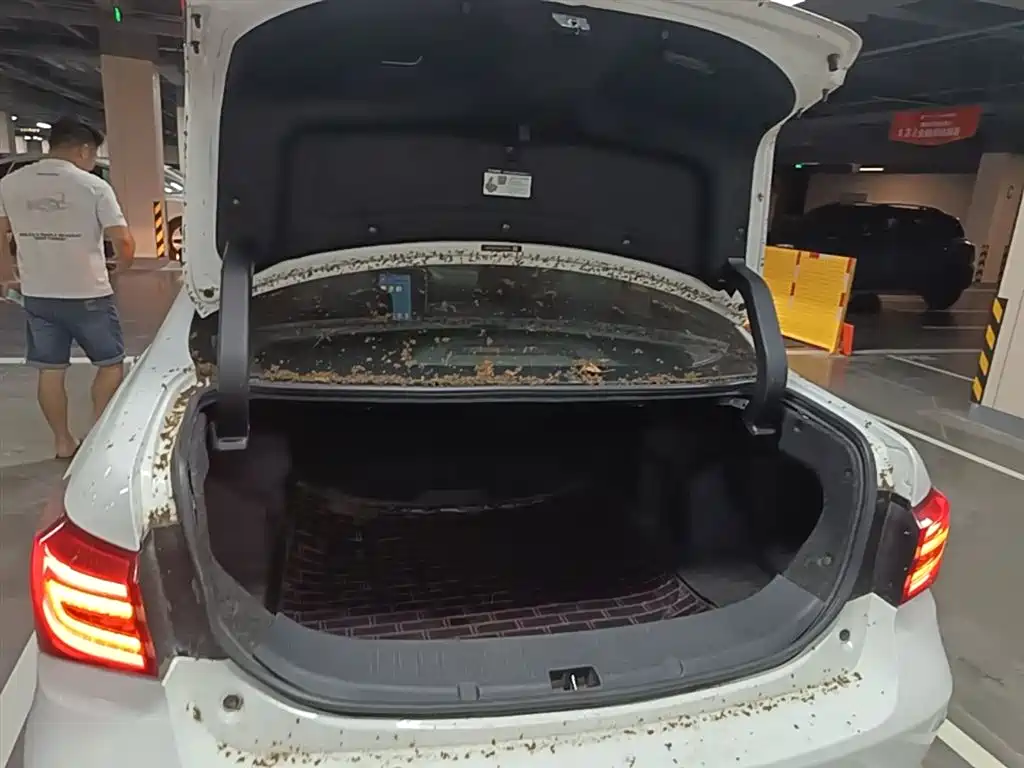 BYD Qin New Energy 2018 1.5T Smart Premium фото 19