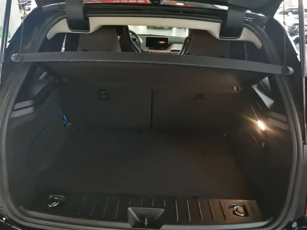 BMW i3 (Import) 2018 Luxury Edition фото 19