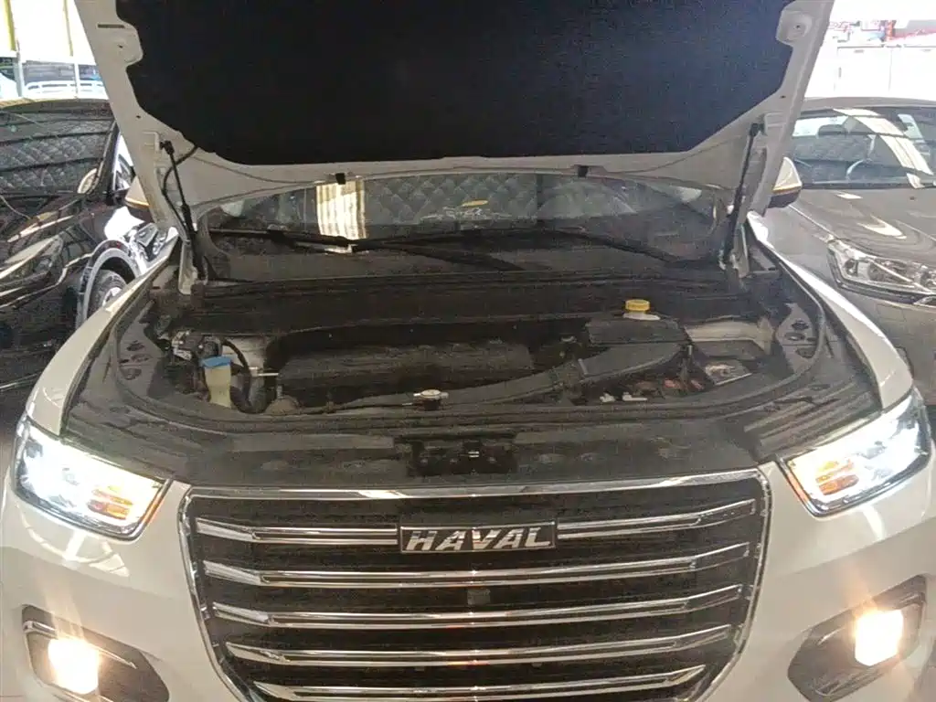 Haval H6 2019 1.5GDIT Automatic Champion Edition China V фото 20