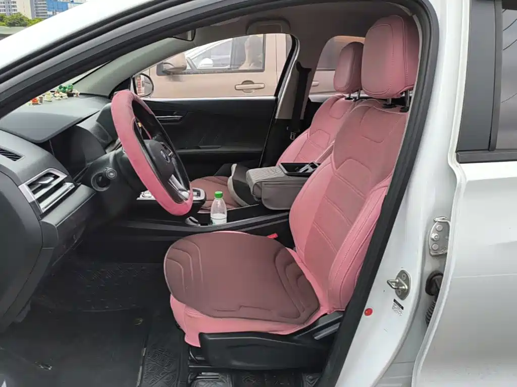 BYD e2 2022 2021 Standard