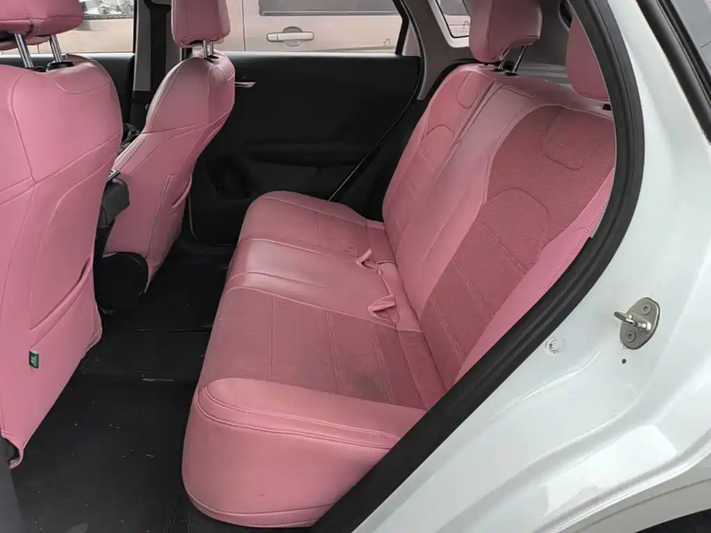 BYD e2 2022 2021 Standard