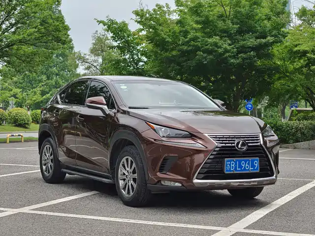 Lexus NX 2018 Model 200 FWD Fengxing Edition China V — фото 4