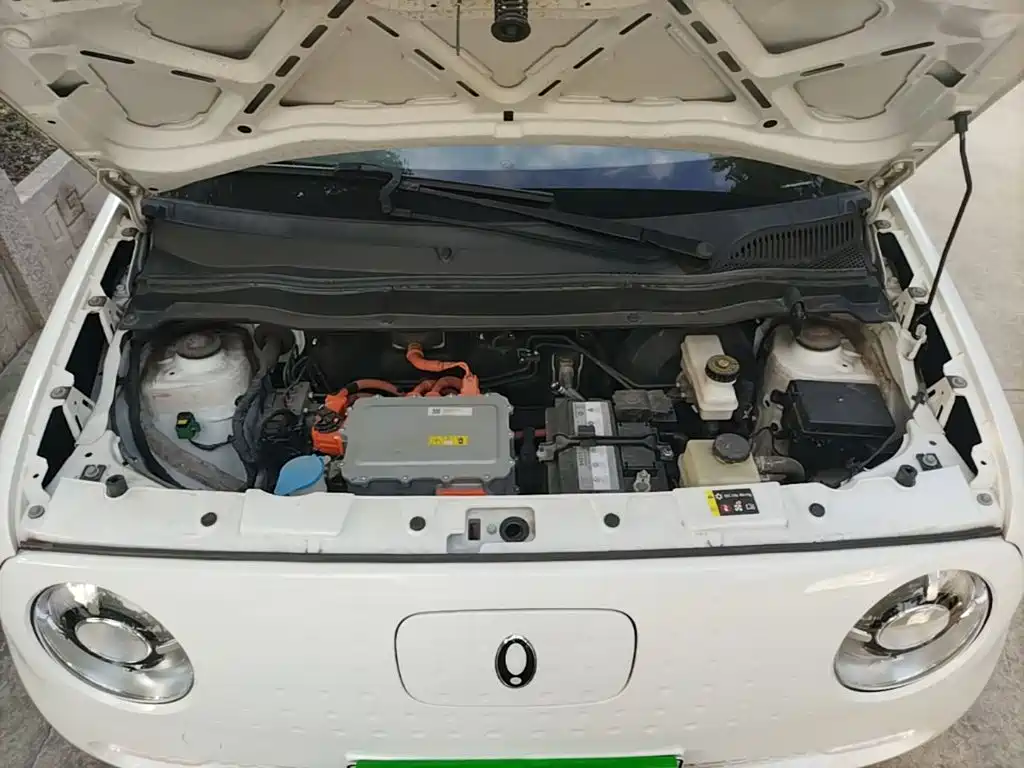 Ora Black Cat 2022 2022 351km Comfort (NMC)