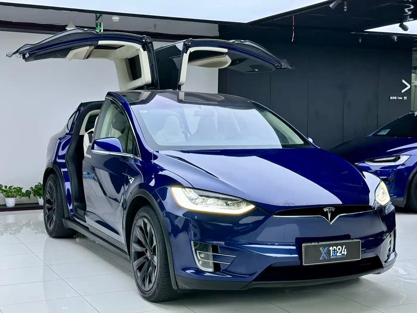 Фото 3 - Tesla Model X