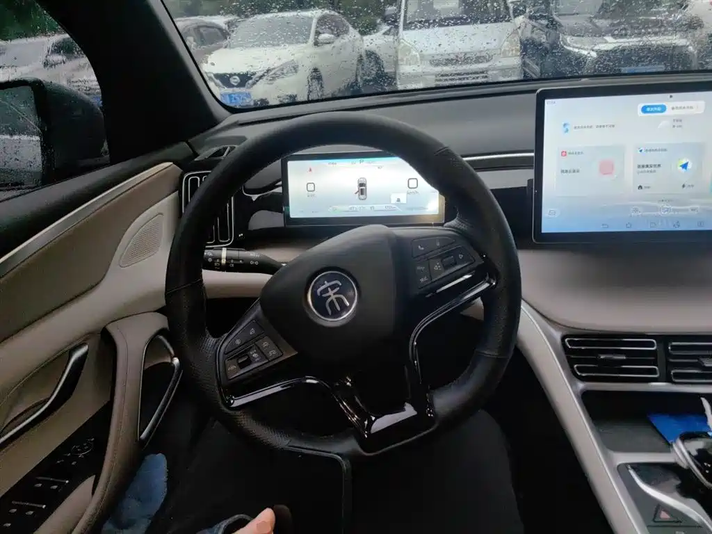 BYD Song Pro New Energy 2024 Glory Edition DM-i 110KM Surpassing фото 6