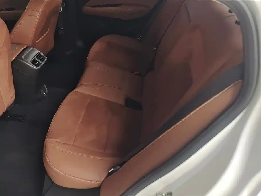 Buick Regal 2017 20T Elite Type фото 11