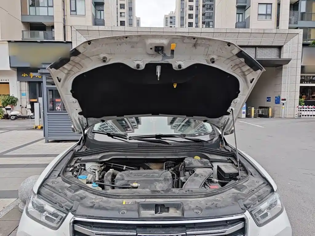 Haval H2s 2019 2018 Red Label 1.5T DCT Fashion Type