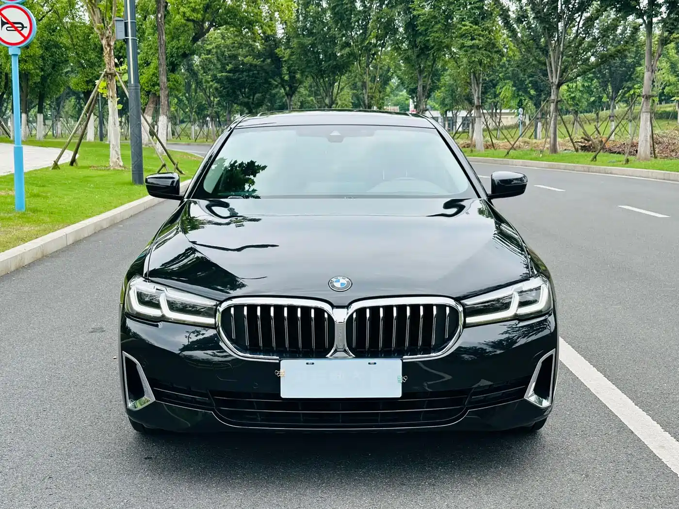 BMW 5 Series 2021 530Li Leading Luxury Package фото 2