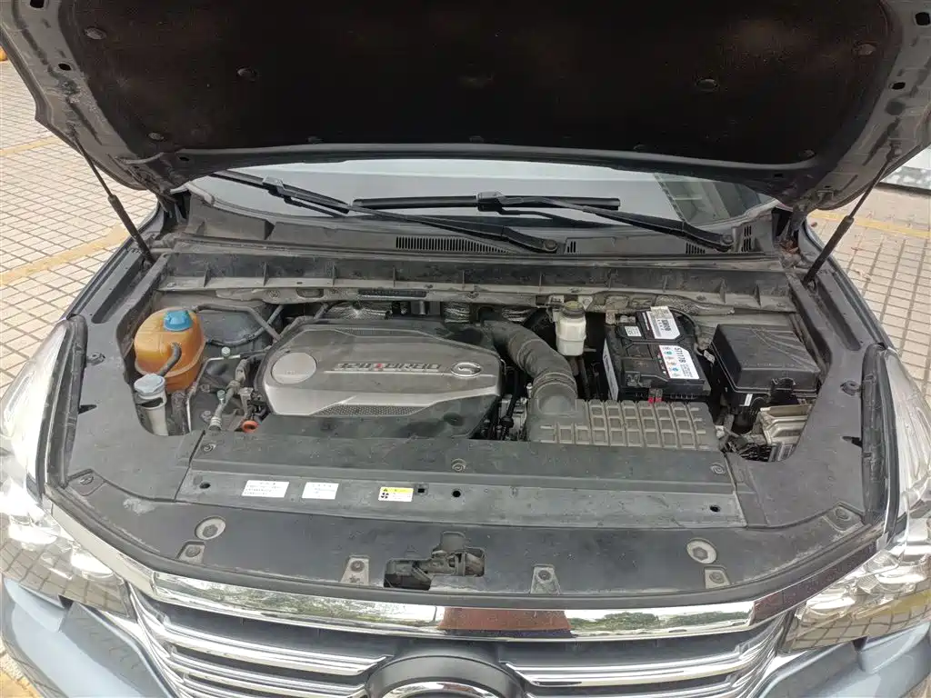 GAC Trumpchi Trumpchi GS8 2017 320T 2WD Luxury Smart Connect (7-seater) фото 20