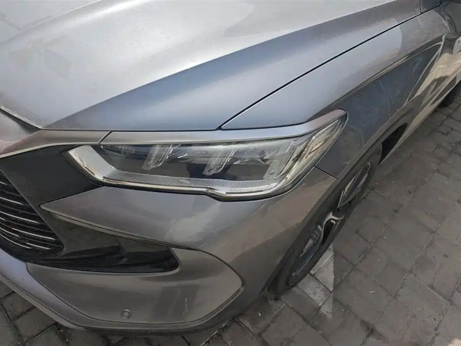 BYD Song Pro New Energy 2023 Champion Edition DM-i 110KM Excellence фото 5