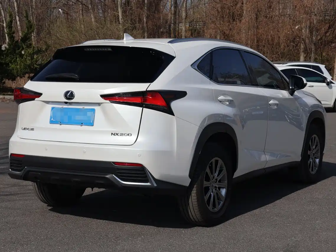 Lexus NX 2018 Model 200 AWD Fengshang Edition China V фото 4