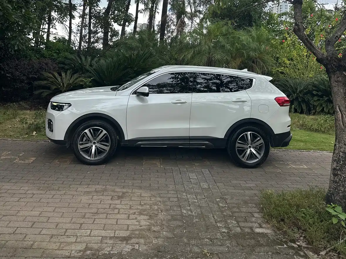 Фото 3 - Haval H6