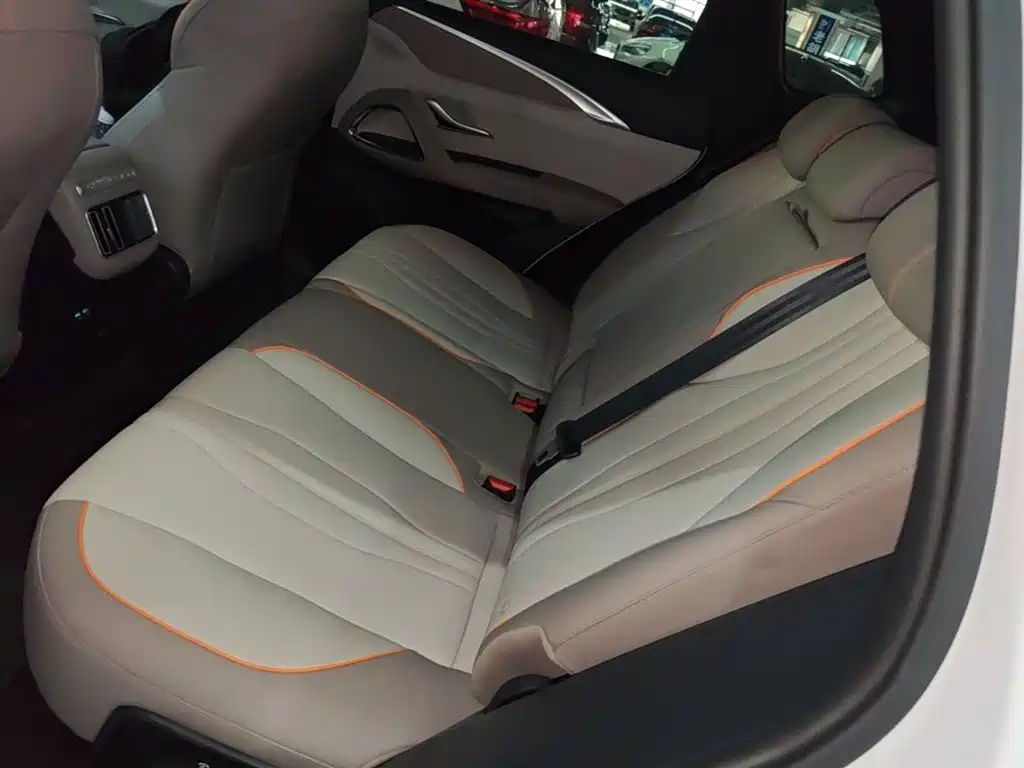 BYD Song Pro New Energy 2024 Glory Edition DM-i 71KM Pilot фото 17
