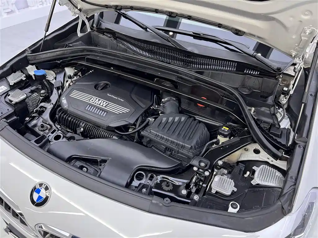 BMW X2 2020 sDrive25i Leading M Sport Package фото 11