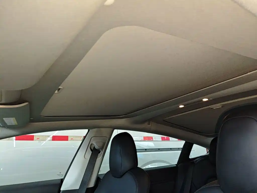 Фото 18 - Tesla Model 3 (Import)