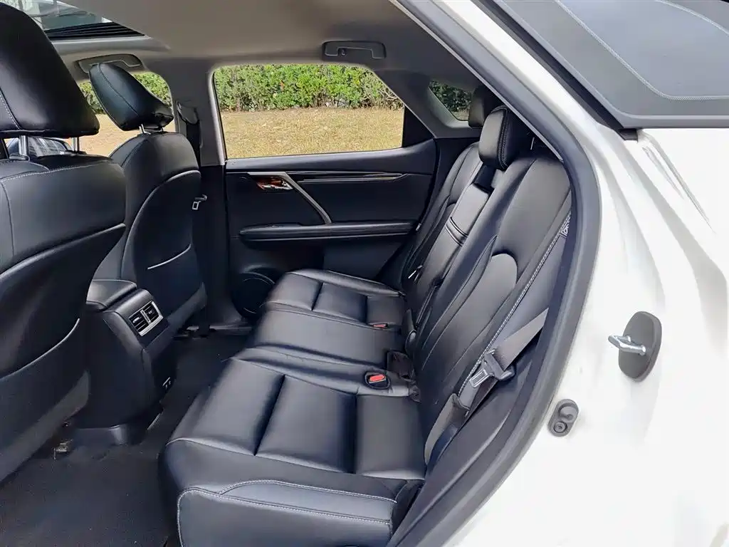 Lexus RX 2020 Facelift 300 2WD Elite Edition фото 8
