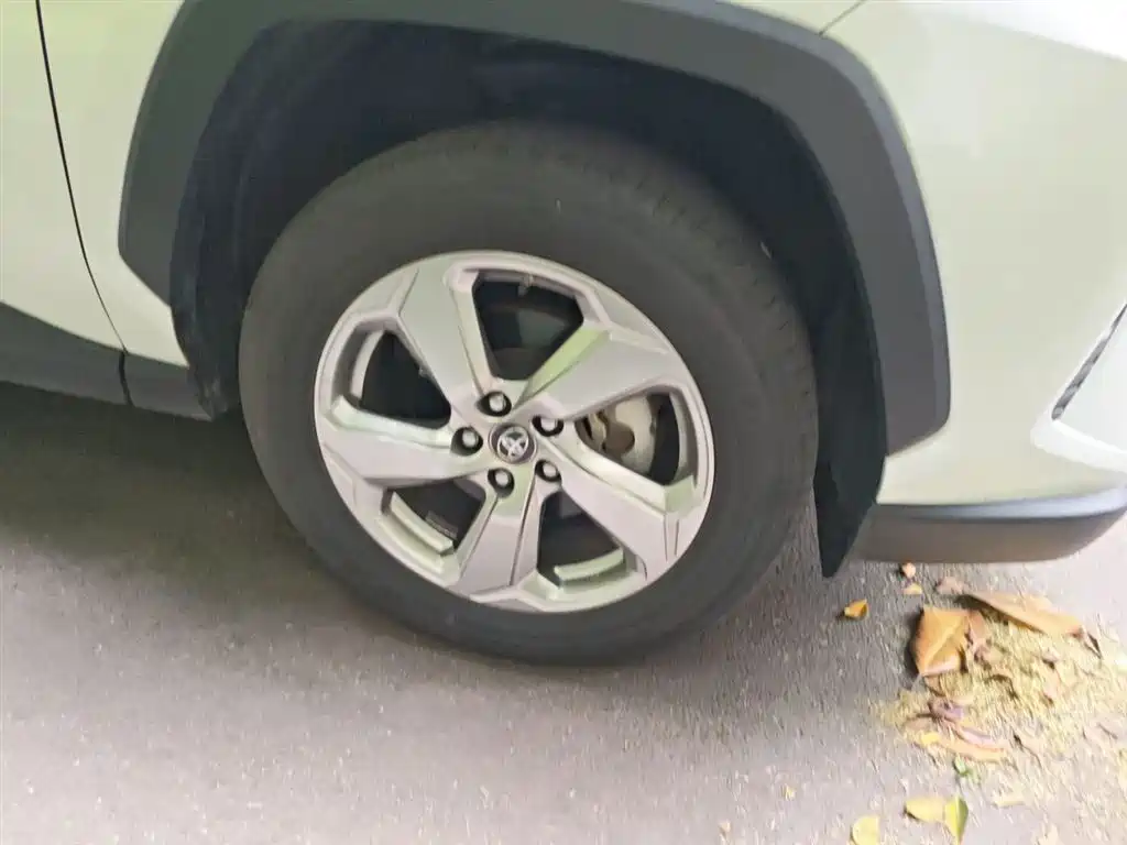 Toyota RAV4 Rongfang 2020 2.0L CVT AWD Trend Edition фото 26