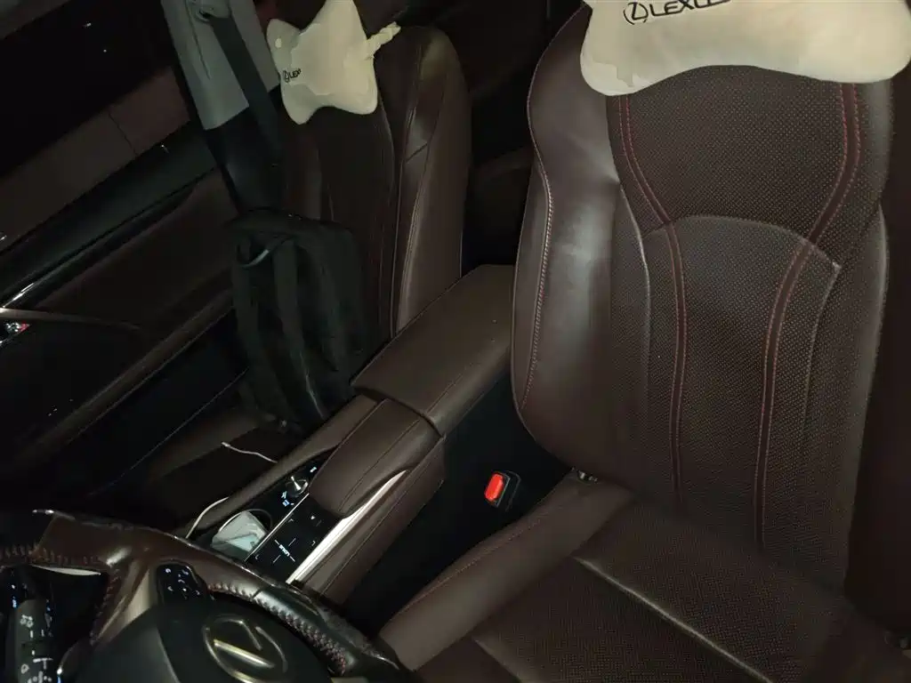 Lexus RX 2020 Facelift 300 2WD Comfort Edition фото 11