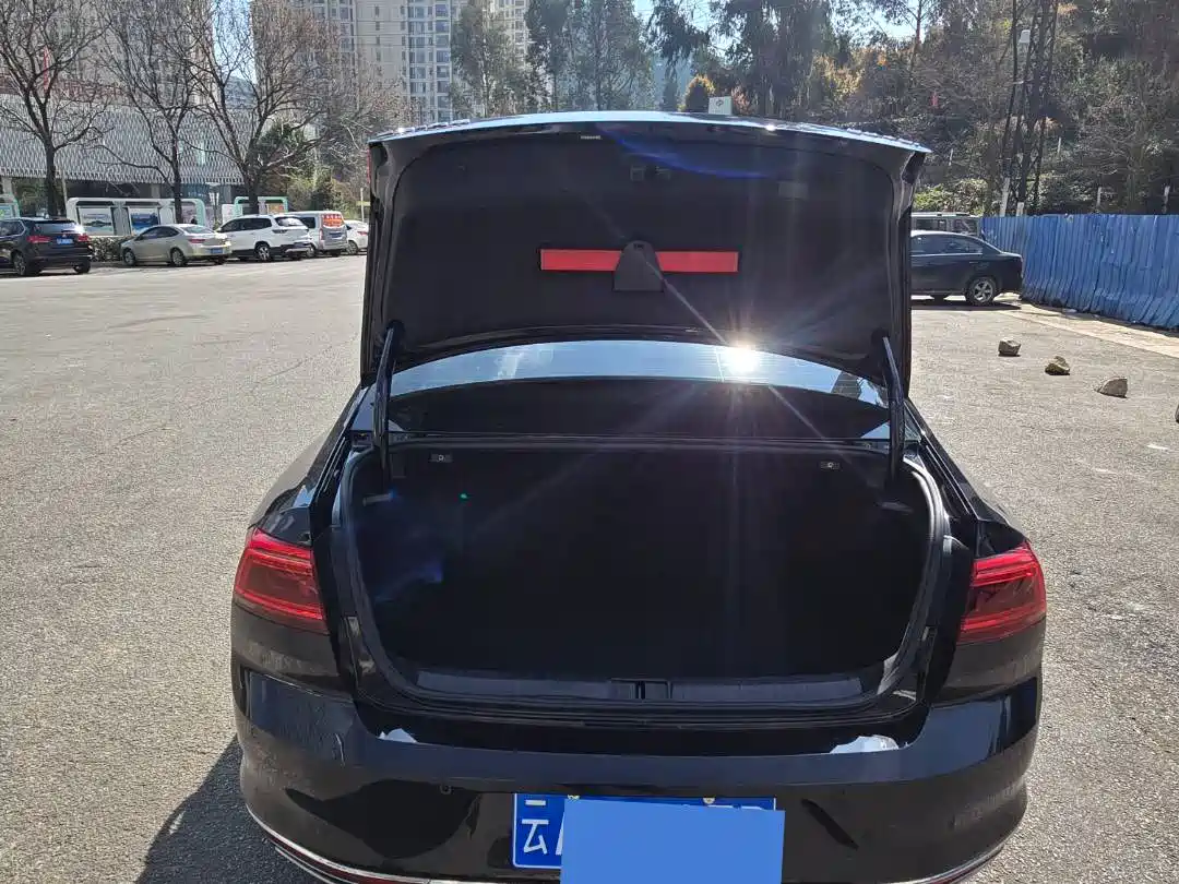 Volkswagen Magotan 2020 330TSI DSG Leading фото 8