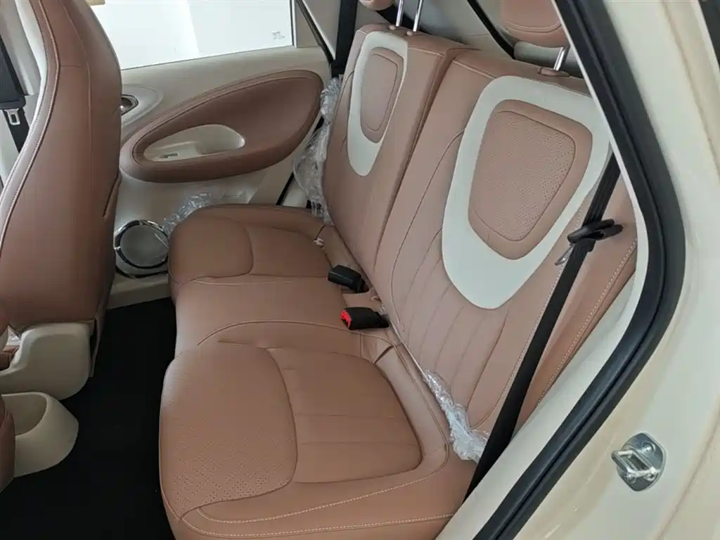 Wuling Motors Wuling Bingo 2026 2025 Model 333km Joy Edition