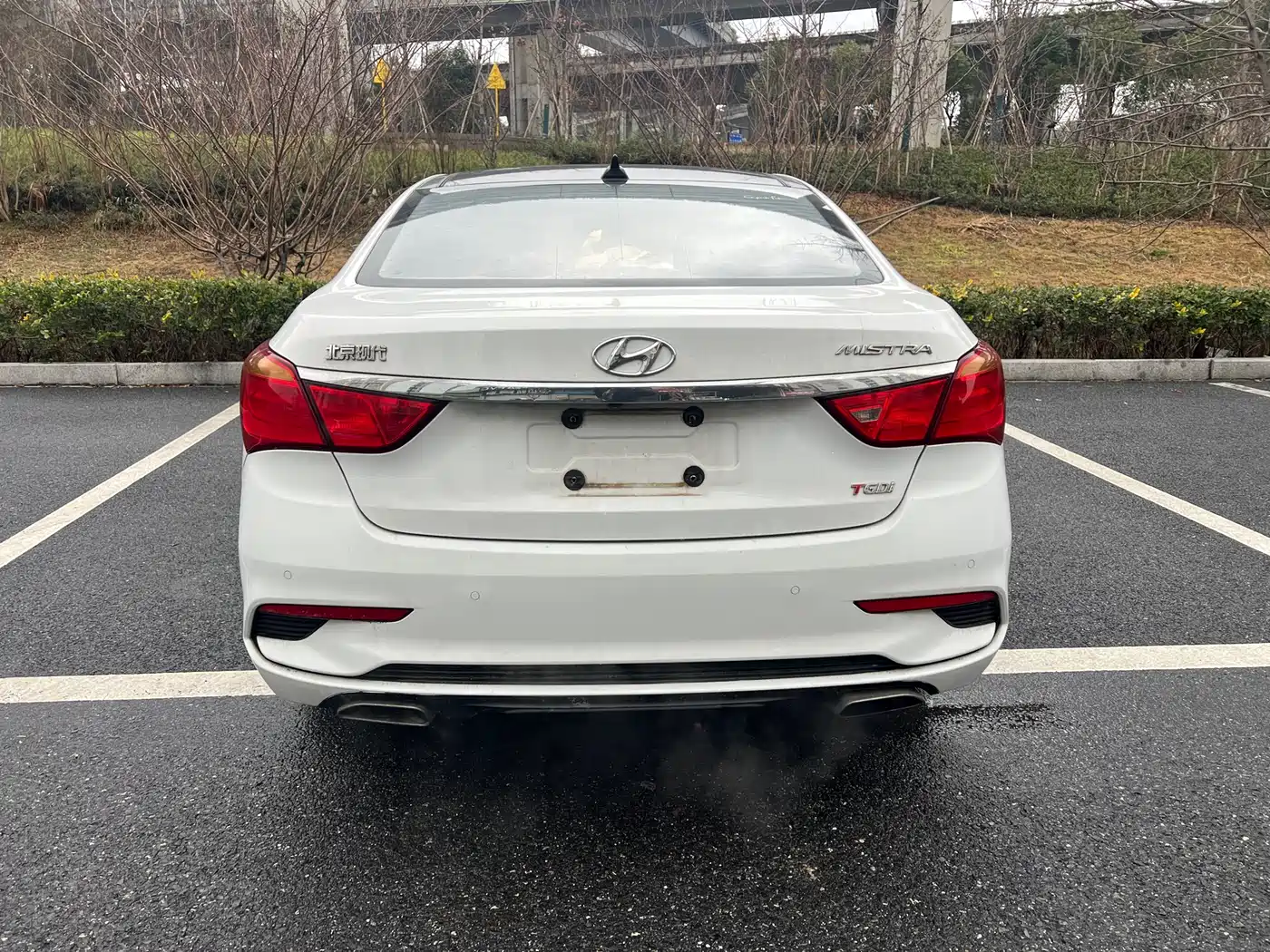 HYUNDAI NAME PICTURE