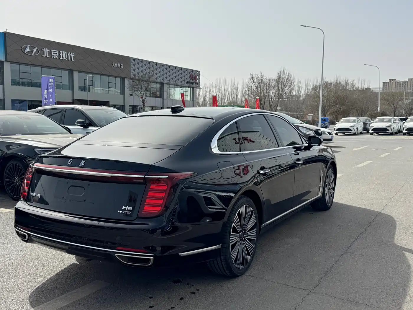 Hongqi H9 2025 Facelift 2.0T 2WD Flagship Luxury Business Edition 5-seater фото 5