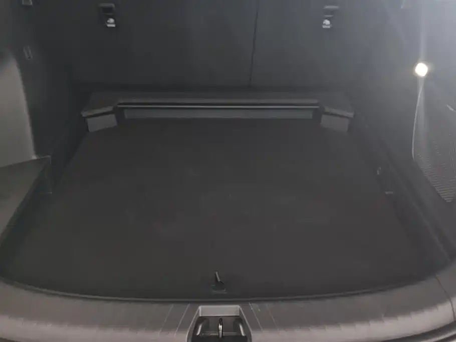BYD Sealion 06 New Energy 2025 EV 605 Pilot Plus Edition фото 4