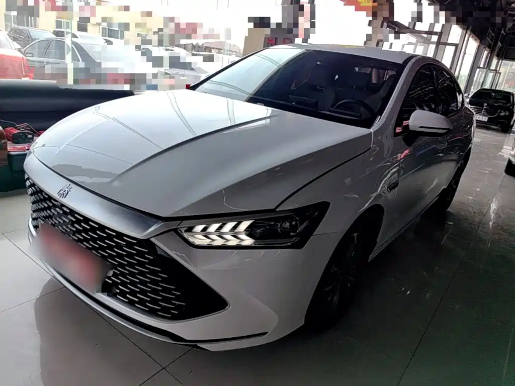 BYD Qin PLUS 2023 Champion Edition DM-i 55KM Leading