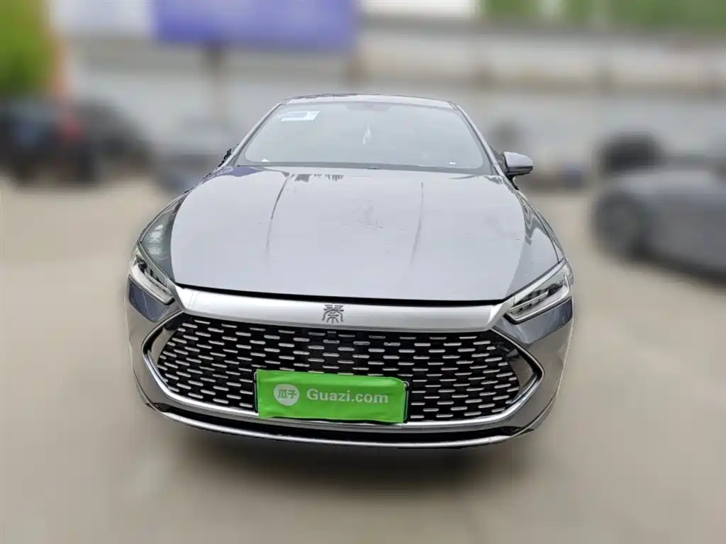 BYD Qin PLUS 2023 Champion Edition DM-i 55KM Leading фото 2