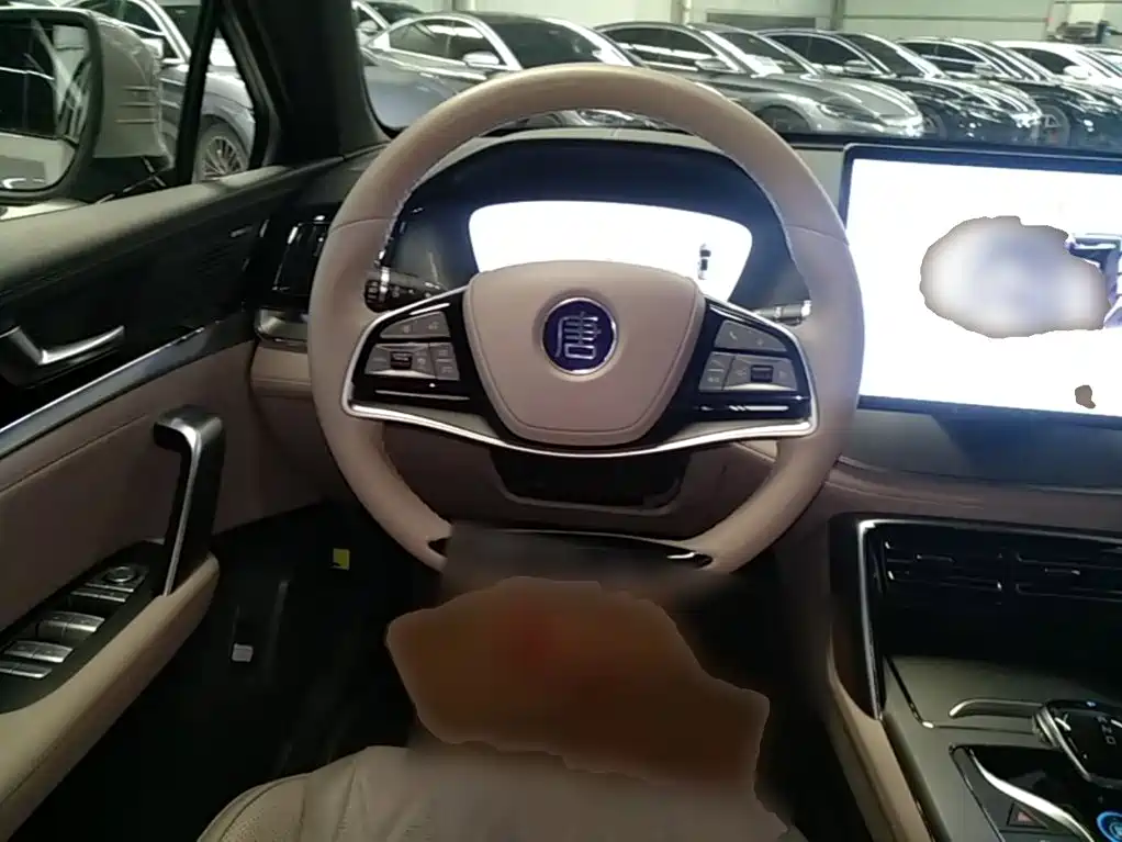 صورة 11 - BYD Tang New Energy