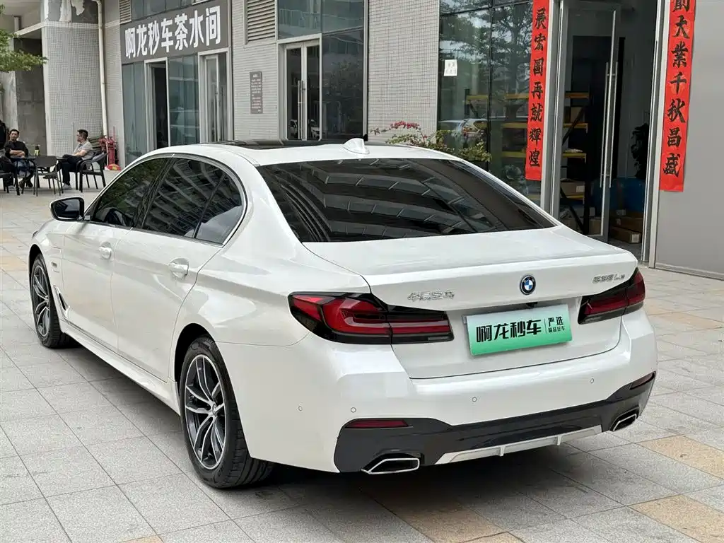BMW 5 SERIES NEW ENERGY