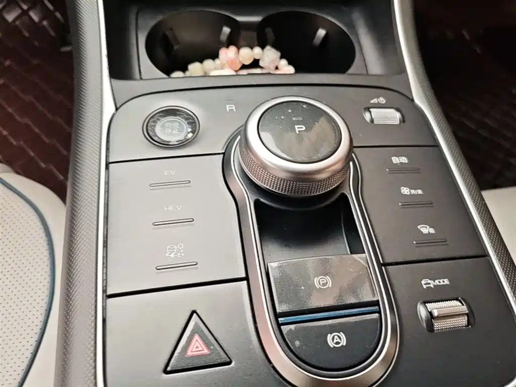 BYD Destroyer 05 2024 Glory Edition DM-i 55KM Luxury фото 14