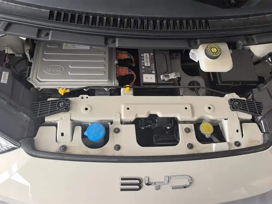 BYD Seagull 2024 Glory Edition 305km Vitality Edition фото 10