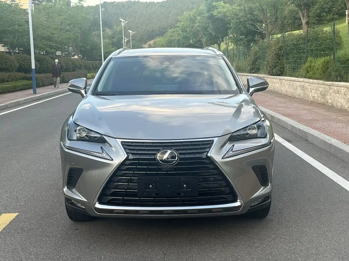 Lexus NX 2020 200 AWD F Sport China VI фото 4