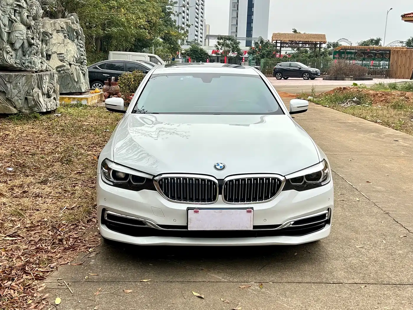 BMW 5 Series 2019 Facelift 525Li Luxury Package фото 2