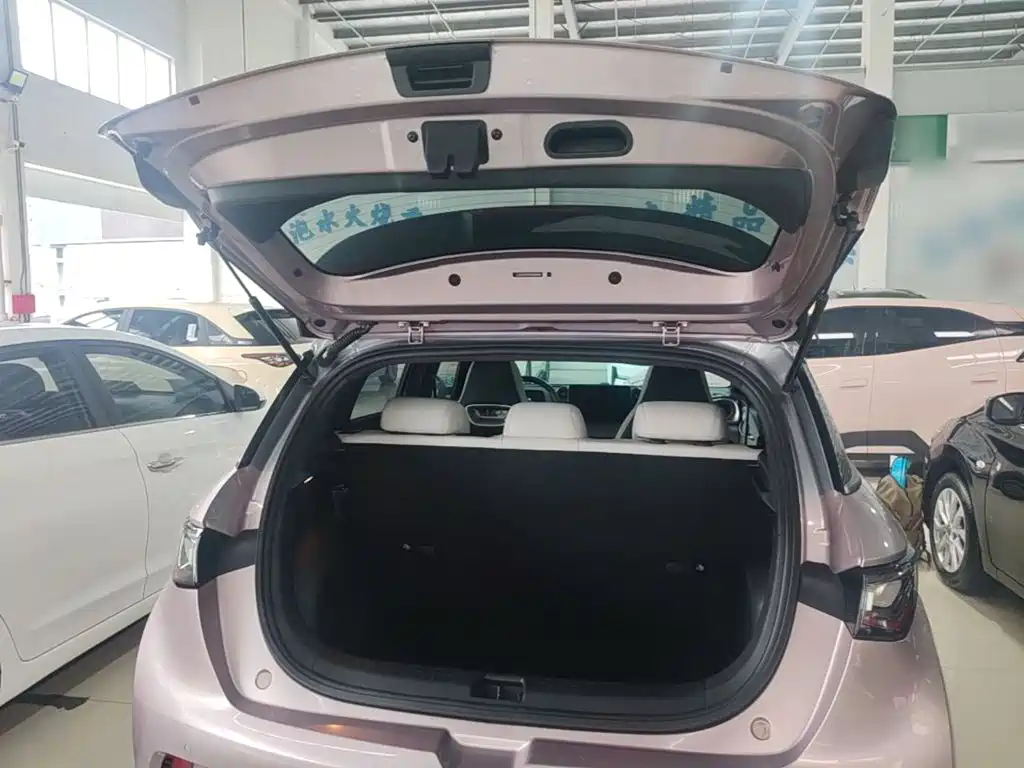 BYD Dolphin 2022 2021 401km Knight Edition